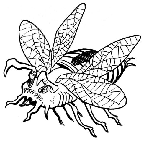 Archivo:Piranha beetle.jpg