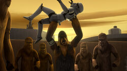 Wookiees Kessel.jpg
