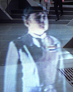 Archivo:Dying admiral.jpg