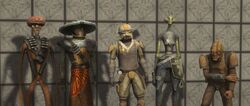 Bounty Hunter survivors.jpeg