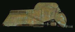 MTT lateral.jpg