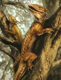 YsalamiriEGttF.jpg