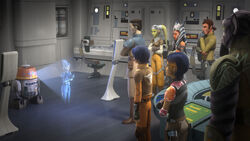 TuaContactsRebels-SoL.jpg