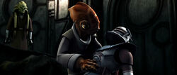 Vebb angered.jpg
