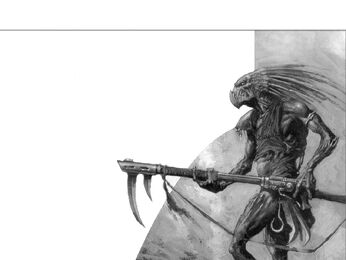 Kroot2.jpg