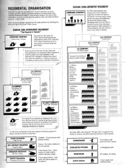 Esquema compañía G.I. .jpg