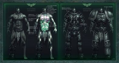 Anatomía Astartes servoarmadura.jpg