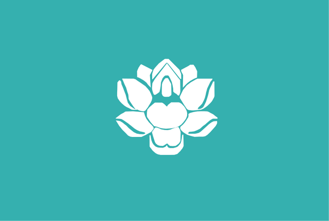 File:Flagoflownavarra.png
