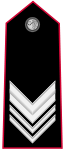 File:Plolopol.png