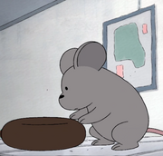 Bagel rat
