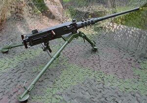 .50.jpg