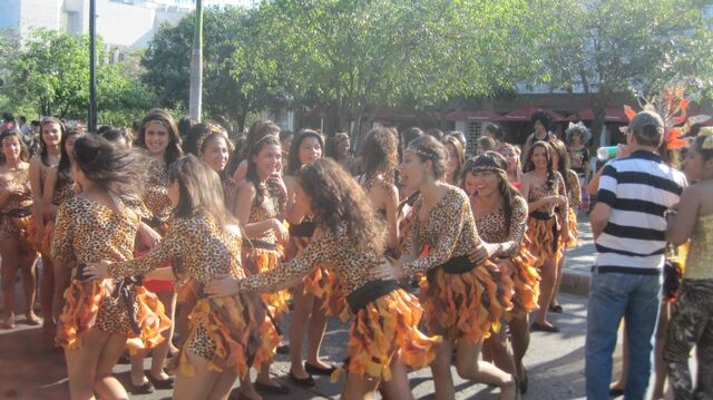 Archivo:Carnaval3.jpg