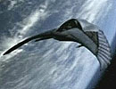 Planeador
