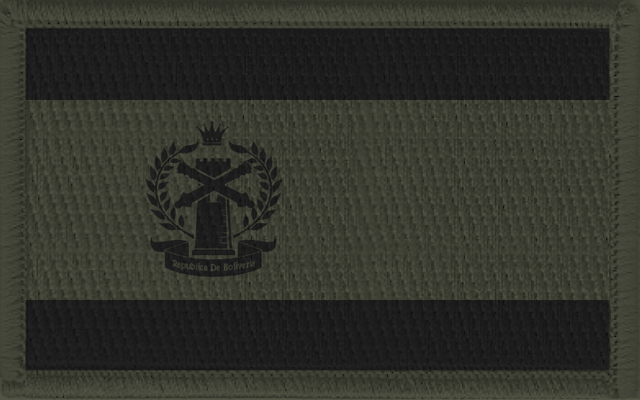 File:Jenkins Flag Patch.png