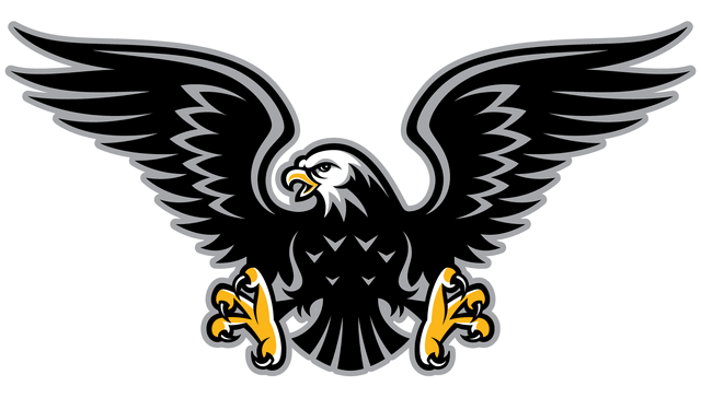 File:BlackHawk2 Detail.gif
