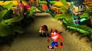 Crash Bandicoot.jpg