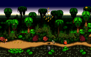 Donkey Kong.png