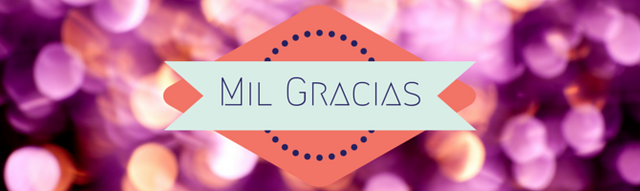 Archivo:Mil gracias!.png