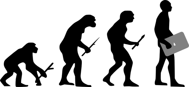 Archivo:Wikia Evolution.png