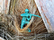 GI Joe in the Palm Tree.jpg