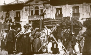 Aviles.png