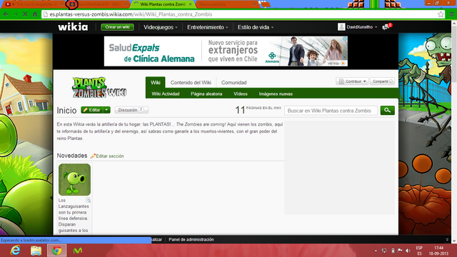 Archivo:Screenshot pestaña.png