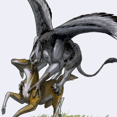 File:Hippogryph.jpeg