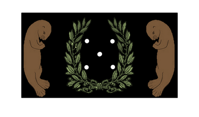 Otopian flag
