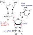 Thumbnail for version as of 06:22, March 8, 2012
