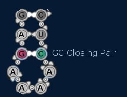 File:Closingpair.jpg