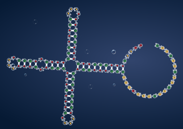 File:Christmas tree.png