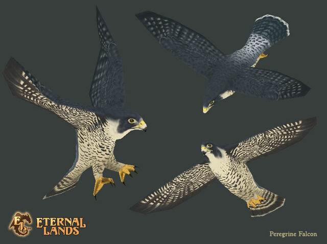 File:Creature Falcon.jpg
