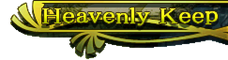 Stratum5banner2