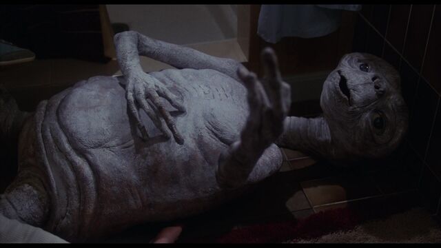 File:D87c2b81 e-t-the-extra-terrestrial-et-the-extra-terrestrial-5078828-852-480.jpg