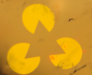 Gllogo