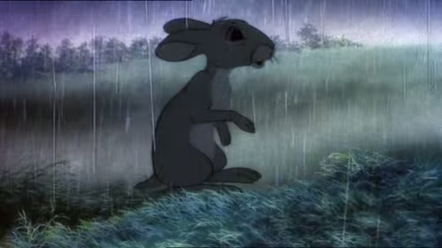 File:Fiver in the Rain.png