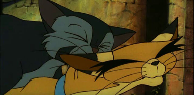 File:Felidae - mating scene.jpg