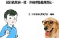 於2015年9月28日 (一) 14:58的縮圖版本