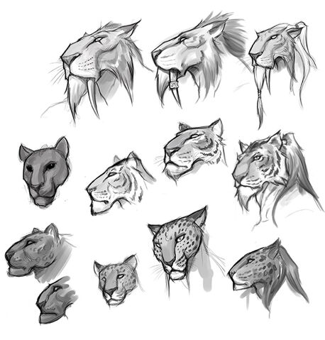 File:Kerran Heads.jpg