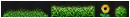 File:Spring Decorative.png