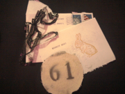 Rabbit61