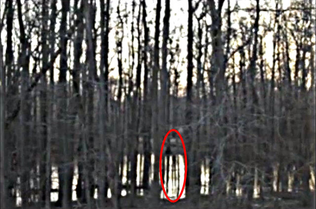 File:SLenderHYBRID.jpg