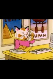 Sally Cat