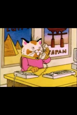 File:Sally Cat.jpg