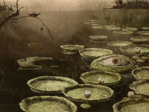 The Miskatonic River