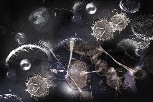 The Uroboros Virus