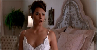 Spy Hard 2