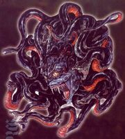 Medusa CVLOI