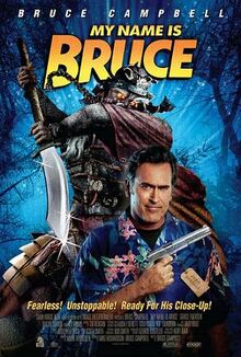 MyNameIsBrucePoster