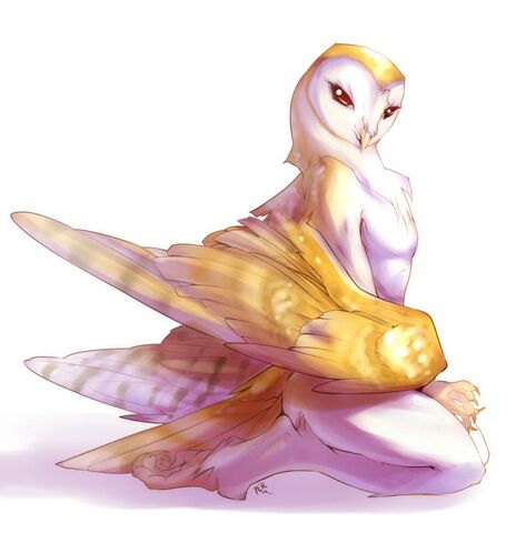 File:Owling.jpg
